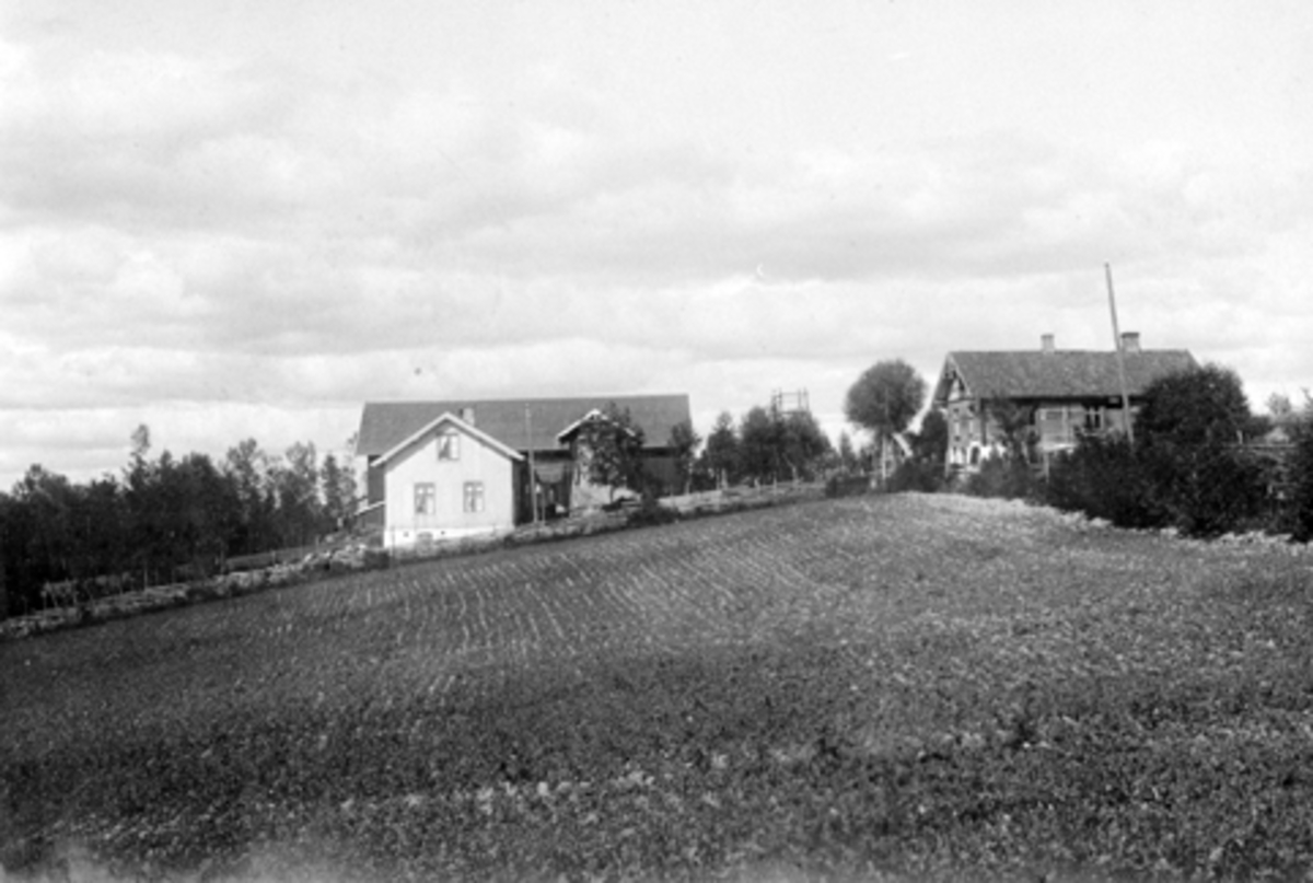 Anno Domkirkeodden, Skredderbakken, Helgøya. Huset til venstre ble bygd i 1860 årene. Her var Helgøyas første landhandel fra 1890-årene, telefonsentral fra 1893 og poståpneri fra 1896. Bygningen til høyre ble byd i 1902 og inneholdt bakeri og landhandel. Brukes i dag som hovedbygning.