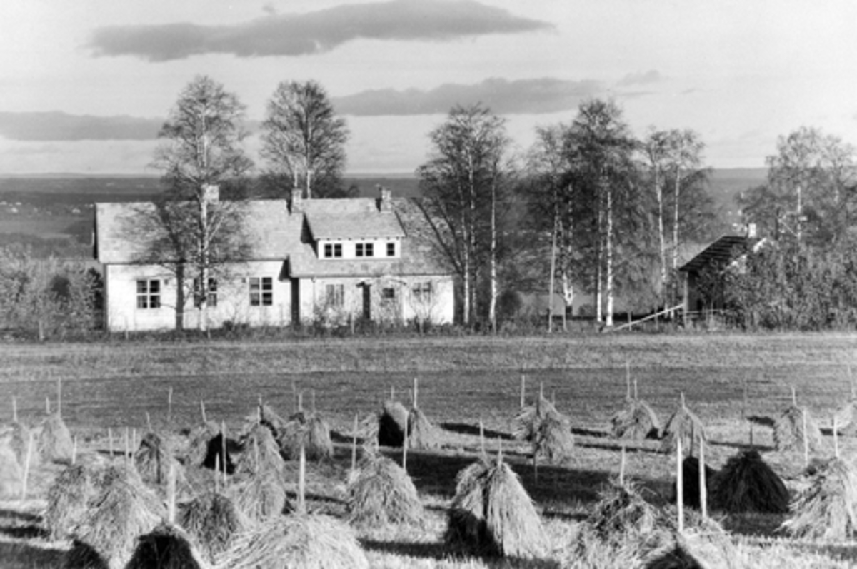 Anno Domkirkeodden, Eksteriør, Bjørktun forsamlingslokale i Årengen krets, bygd 1938, kornsnes i forgrunn.