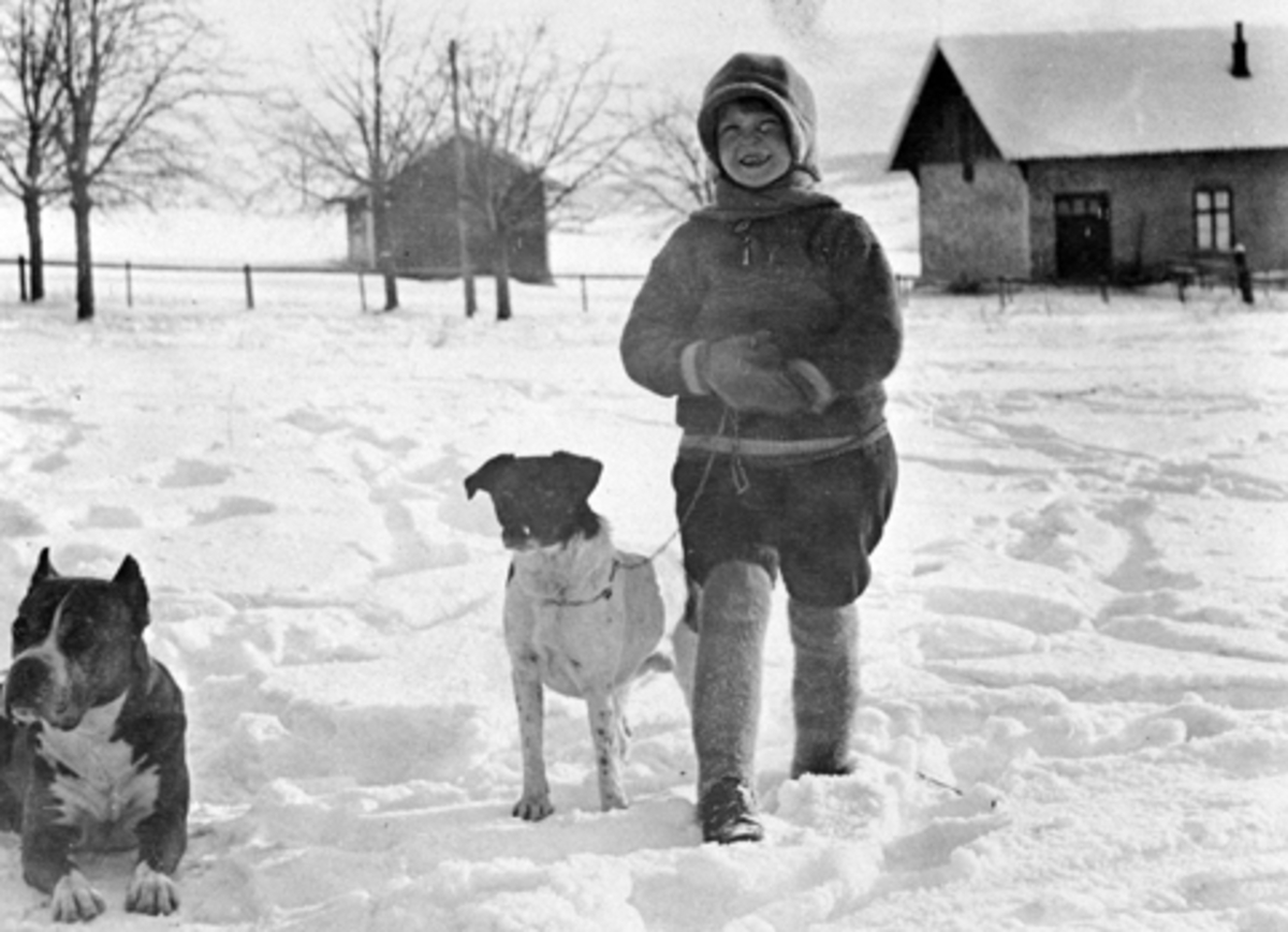 Anno Domkirkeodden, Margrethe Louise Kildal (Babs) f.1911 i vinterklær, med to hunder på Hoel gård, Nes, Hedmark.