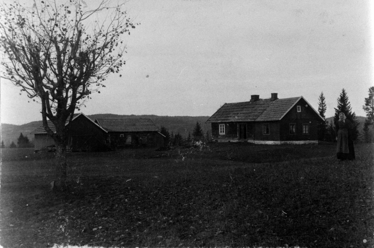 Anno Domkirkeodden, Husa på Jonsgård, Nes, Hedmark. Karen Jonsgård (1834-1926) til høyre.