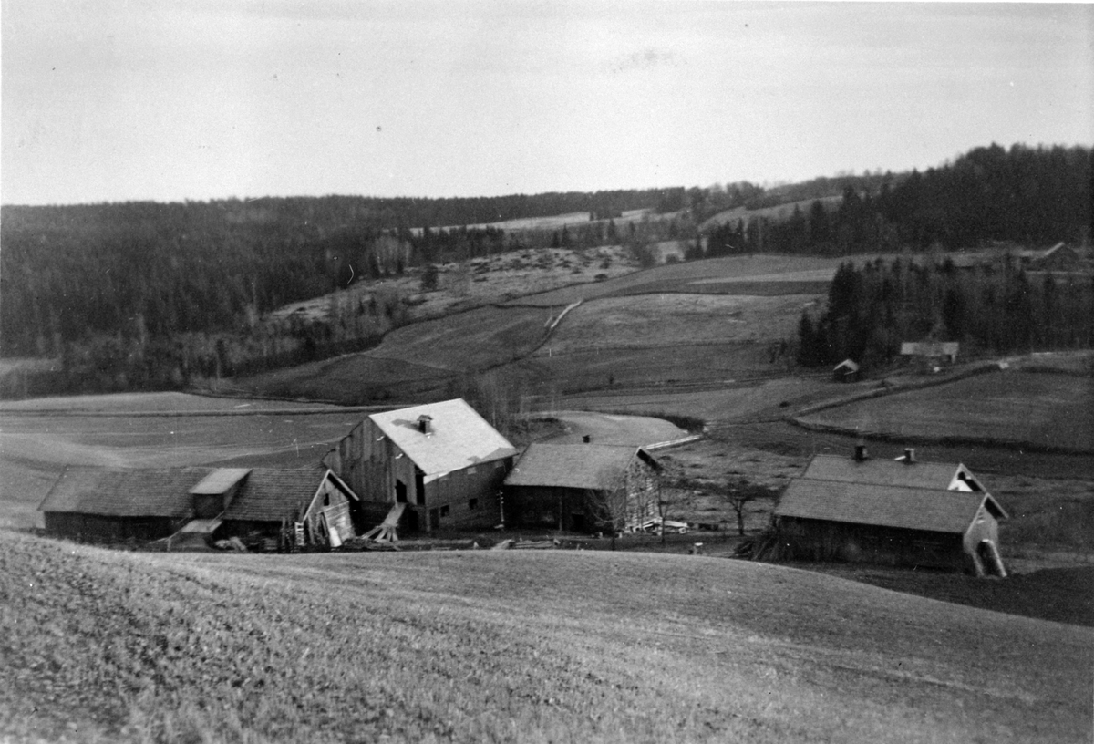 Anno Domkirkeodden, Skalmerud, Stavsjø, Hedmark.