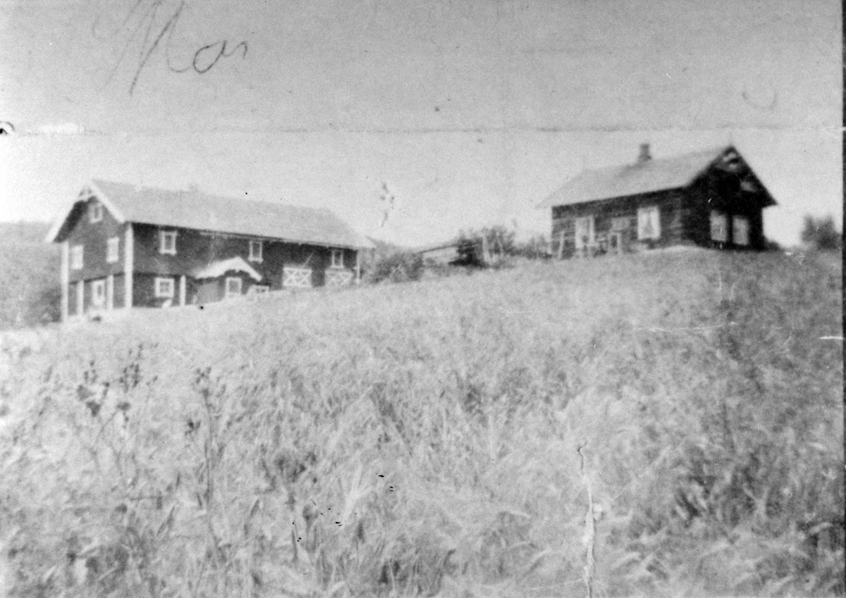 Anno Domkirkeodden, Hannestad nedre, Stavsjø, Hedmark.