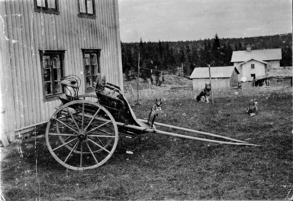 Anno Domkirkeodden, Bebyggelsen på Bergunhaugen, Ringsaker. Elghunder i band. Parkert karjol.
