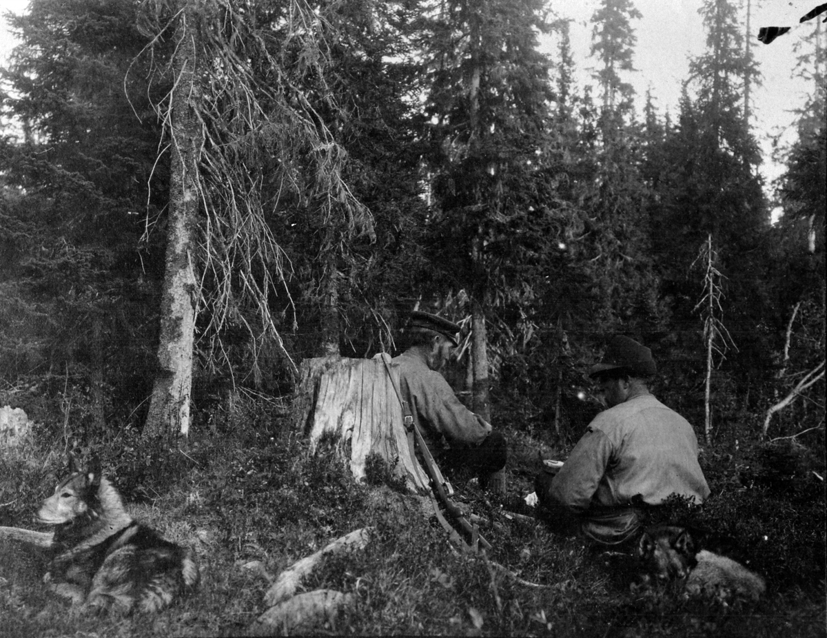 Anno Domkirkeodden, Elgjegere med matpause i skogen, elghunder, Thore Lien til høyre.