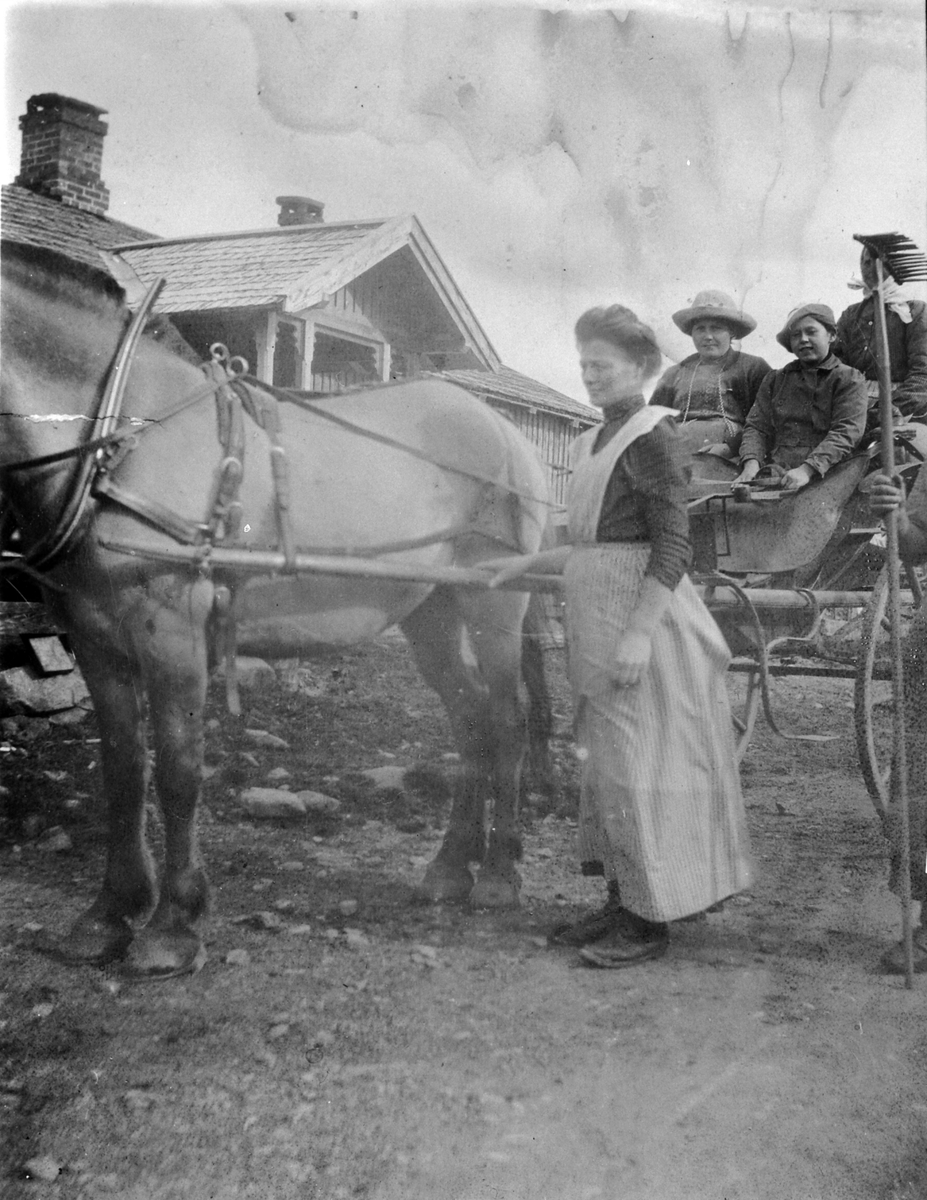 Anno Domkirkeodden, Stående er Oline Finstad (gift Almerud), Marie Lier (1901-1973) med tømmene. Ved siden av henne er Dina Lier (født Mørkved (1878-1946)). Lengst til høyre er ukjent dame. På Nysetra, Ringsaker almenning med hest og karjol.