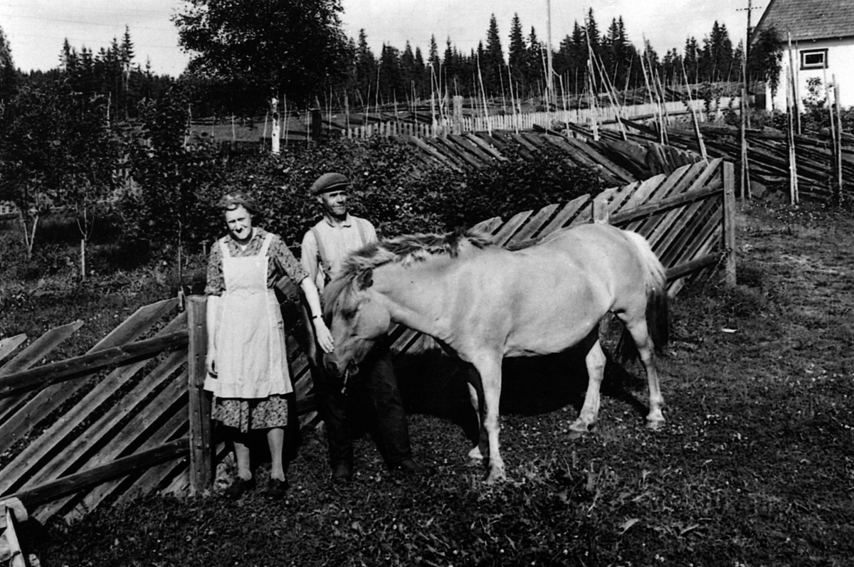 Anno Domkirkeodden, Agnes og Oskar Kråbøl, bureisningsbruk i Stensmarka, 100 mål ryddet midt på 1930-tallet, Stensrud, Åsmarka, Ringsaker. Bildet tatt i 1953.