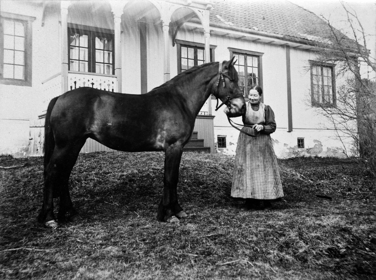 Anno Domkirkeodden, Karen Svensdatter Baardseth f.1863 med hest foran hovedbygningen i Bækkelund, Ringsaker. Gift med Kristian Baardseth.