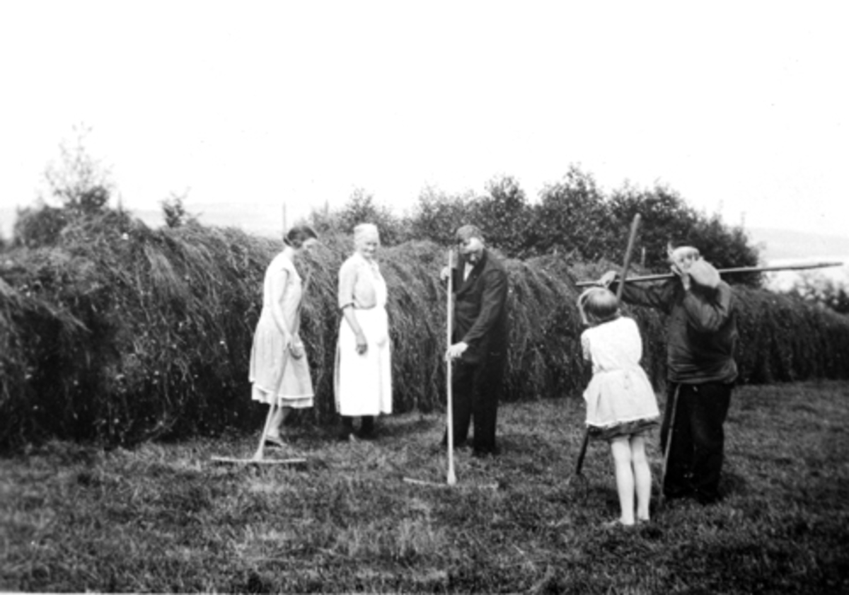 Anno Domkirkeodden, Høyonn i Rønningen. Høyet henges på hesje. 5 personer jobber. Helgøya, juni 1931.