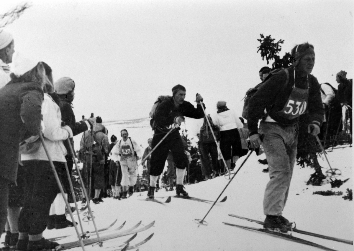 Anno Domkirkeodden, Det første Birkebeinerrennet etter krigen i 1946, Nummer 530, Ole Sveen født 1898 i "Hersaugbekken", Ringsaker.