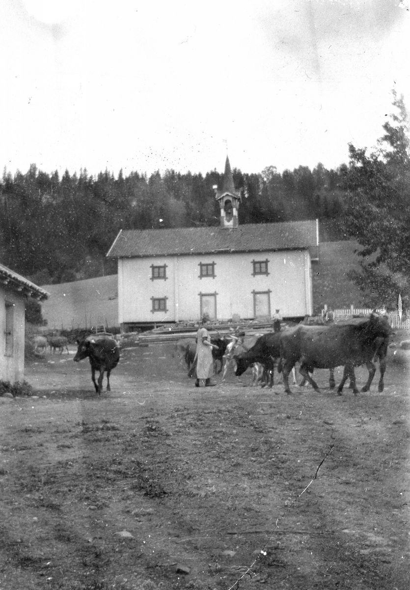 Anno Domkirkeodden, Simenstad gard i Veldre. Kuslepp nedafor stabburet i uttunet, budeie.