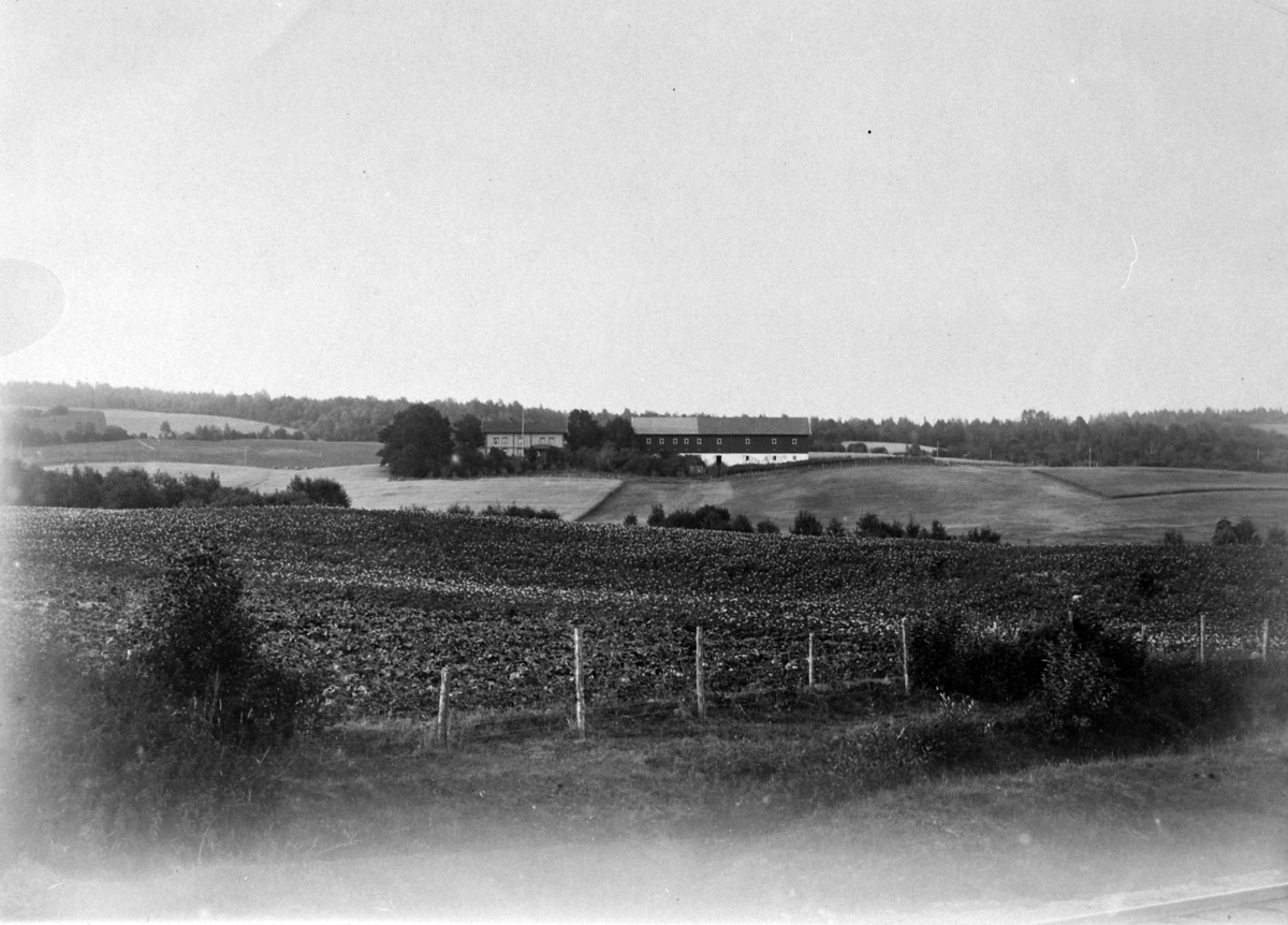 Anno Domkirkeodden, Eksteriør, Tokstad gård, Veldre, Ringsaker, sett fra jernbanen.