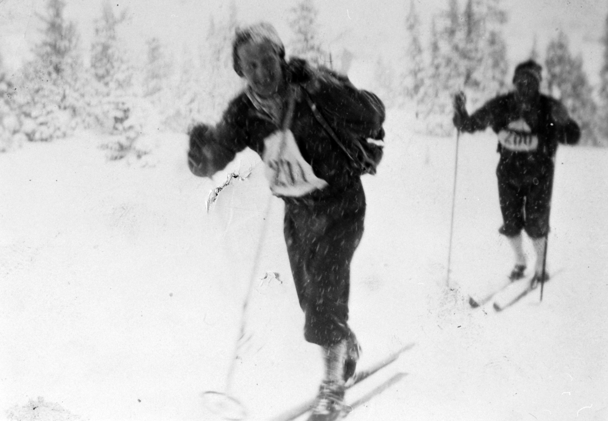 Anno Domkirkeodden, Trygve Sønsteby nr. 211, person bak er ukjent, Birkebeinerrennet, år ukjent.