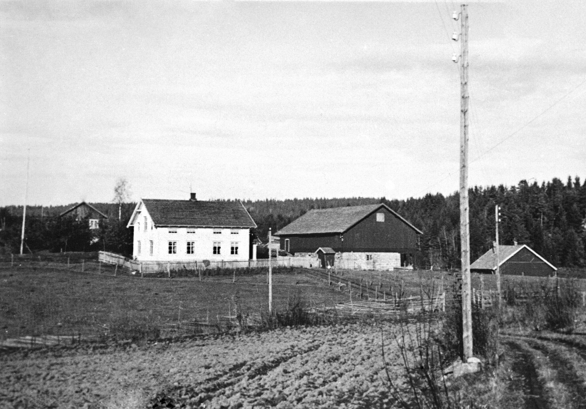 Anno Domkirkeodden, Eksteriør av husa i Bøvolden, Nes, Hedmark. Med jorder og gjerder. Ca. 1938.