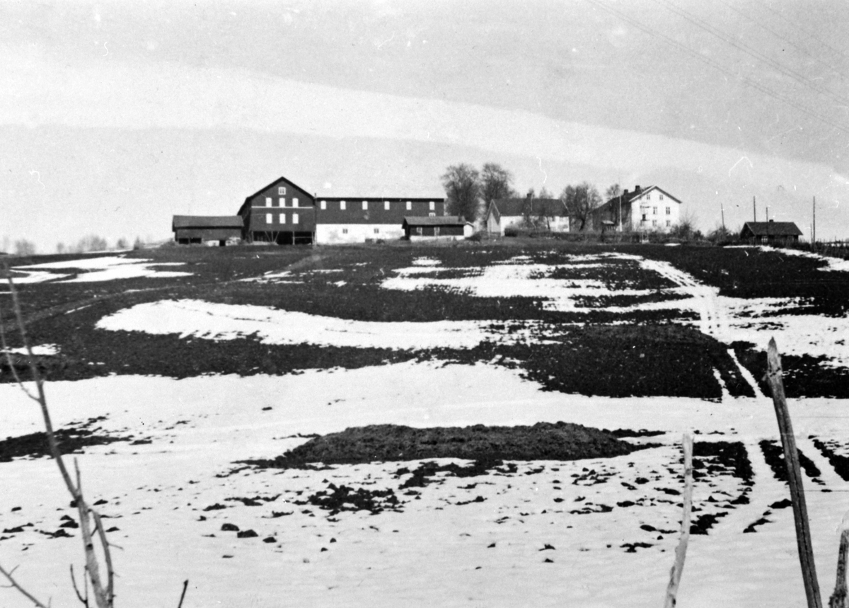 Anno Domkirkeodden, Eksteriør, gardsbruk, Bergshøgda(?), Furnes, Ringsaker.