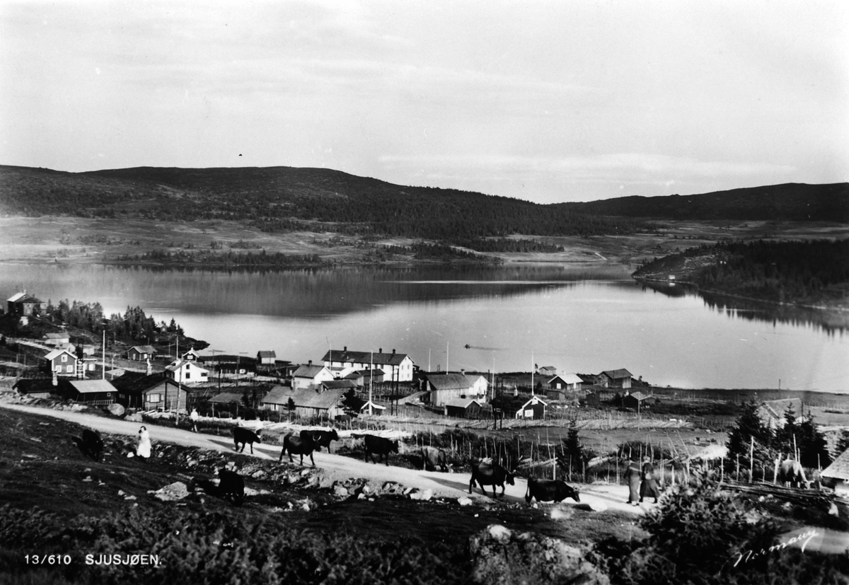 Anno Domkirkeodden, Parti fra Sjusjøen, Ringsaker.