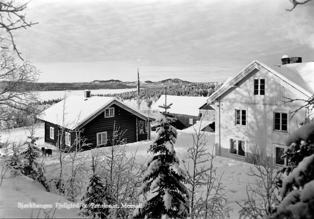 Anno Domkirkeodden, Bjørkhaugen fjellgård og pensjonat, Mesnalia, Ringsaker.