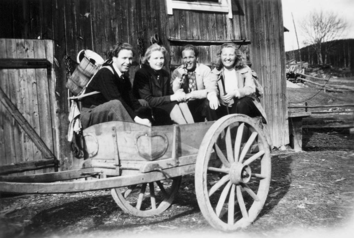 Anno Domkirkeodden, Medlien gård, Ringsaker. En glad kvartett på kjerra framfor skjulet, klar for påsketur tidlig på 1950-tallet. Fra venstre er Hans, Kristine og Svein Medlien, og ukjent kjæreste til høyre.
