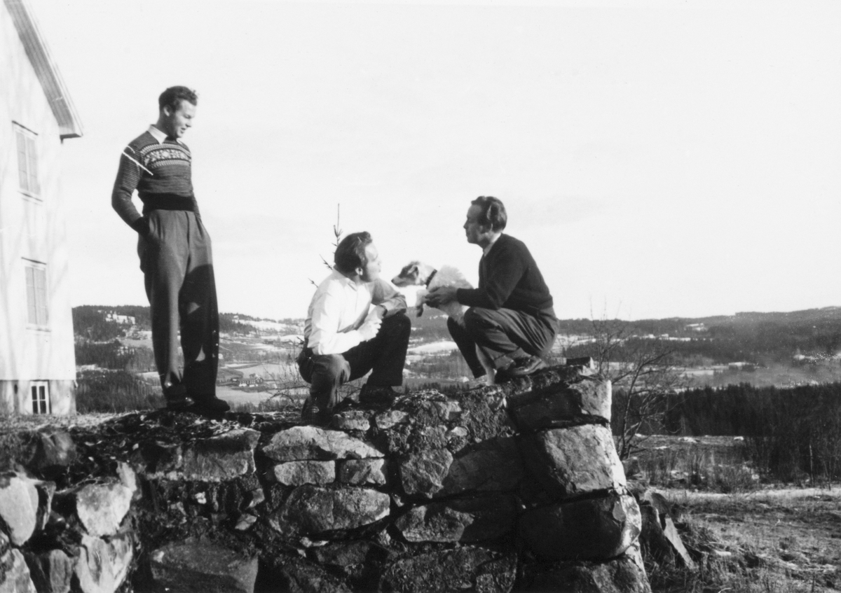Anno Domkirkeodden, Brødrene Helge F.1929, Svein (1922-19XX) og Hans (1920-2001) leke med hund foran den nye hovedbygningen på Medlien gard, Ringsaker. 1953.