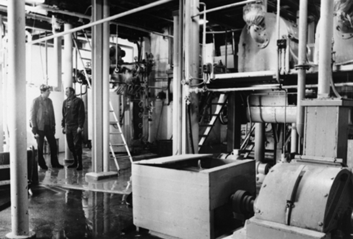 Anno Domkirkeodden, Jessnes Potetmjølfabrikk, Hedmarkens Potetmelfabrikk. Interiør, produksjonslokale. Disponent Nybakke og maskinsjef Heia.