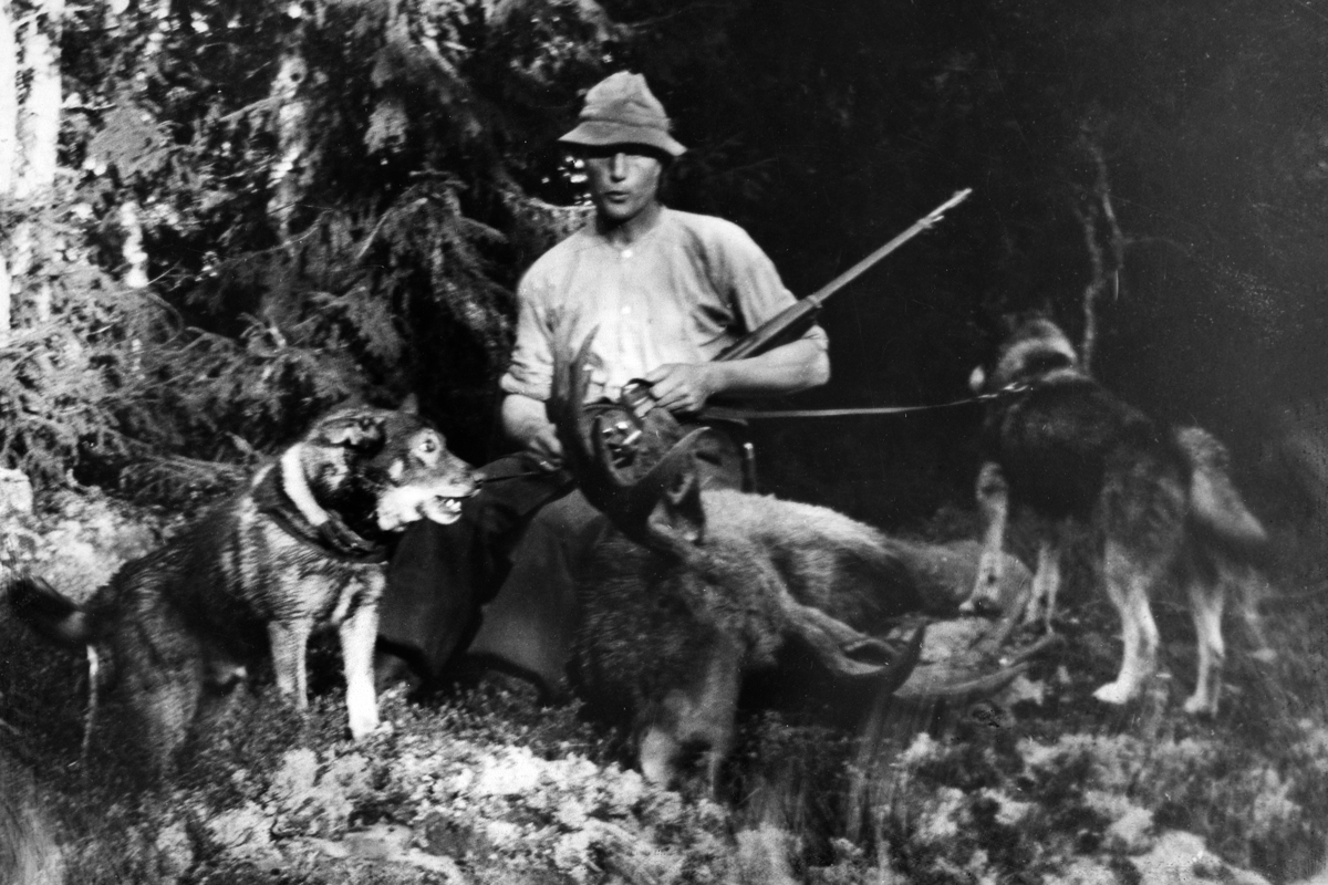 Anno Domkirkeodden, Odvin Bratberg (1896-1979) på elgjakt i slutten av 1930-tallet. Bikkjene heter Tass og Bamse.