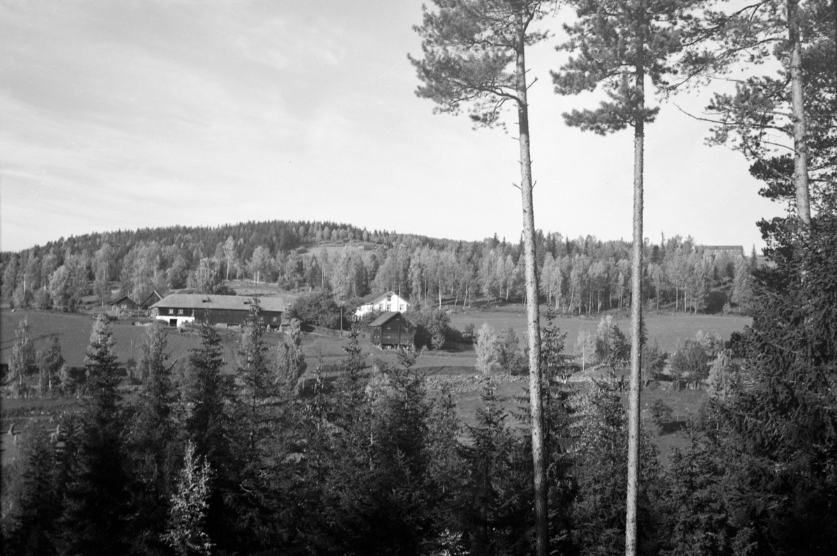 Ukjent, Fossen gård, Moelv, landskap. 1938.
