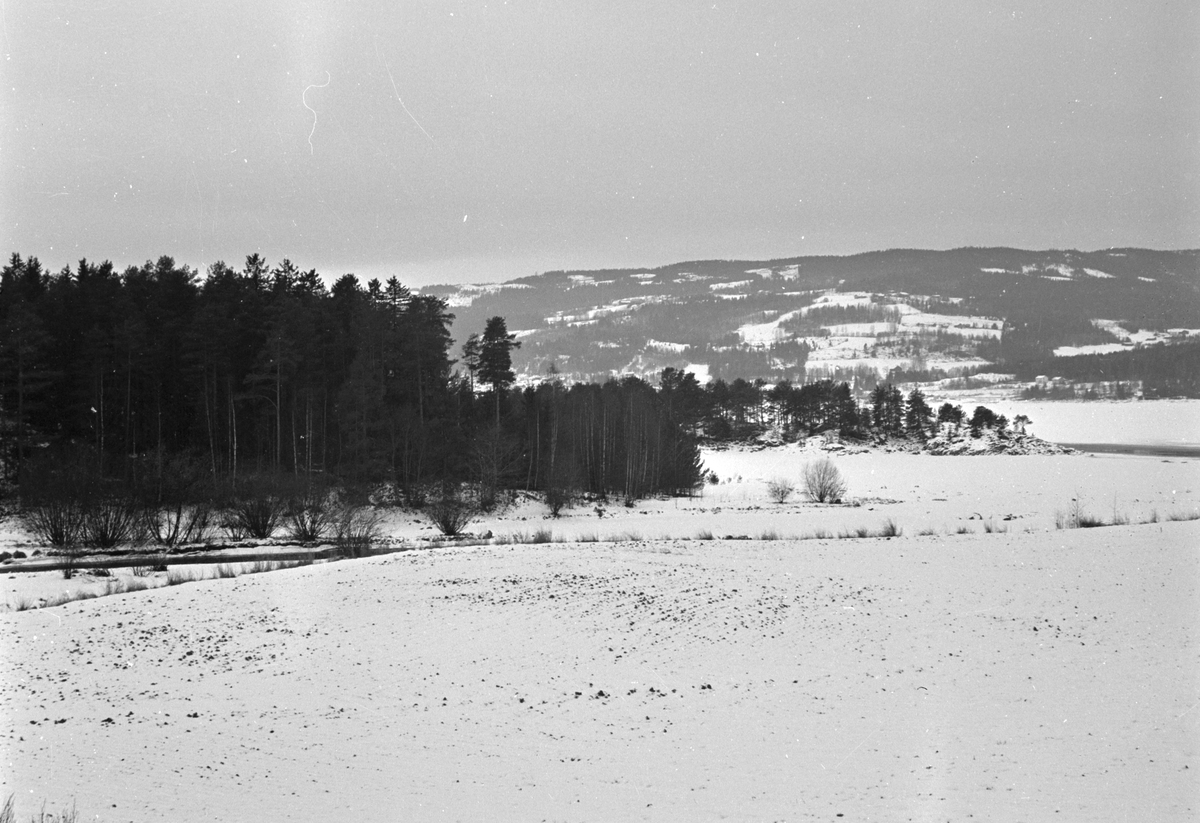 Håkon Prestkværn, Vinterlandskap, Brennerivika, Moelv.