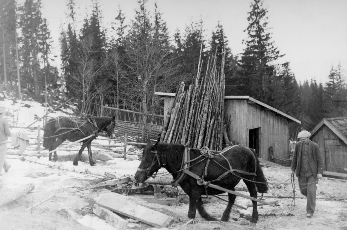 Ukjent, Øvre Fosstuen, Fosstuggua. To hester, hestevandring.