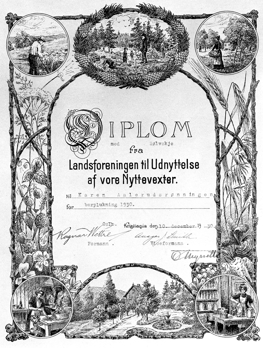 Anno Domkirkeodden, DIPLOM FRA LANDSFORENINGEN TIL UTNYTTELSE AV VÅRE NYTTEVEKSTER TIL KAREN ÅLERUDSRØNNINGEN