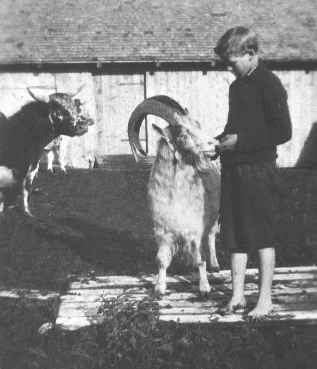 Anno Domkirkeodden, GJETERGUTT ARNE LARSEN TOMSRØNNINGEN, GEITBUKK, ØYA SETER UNDER SKRAMSTAD