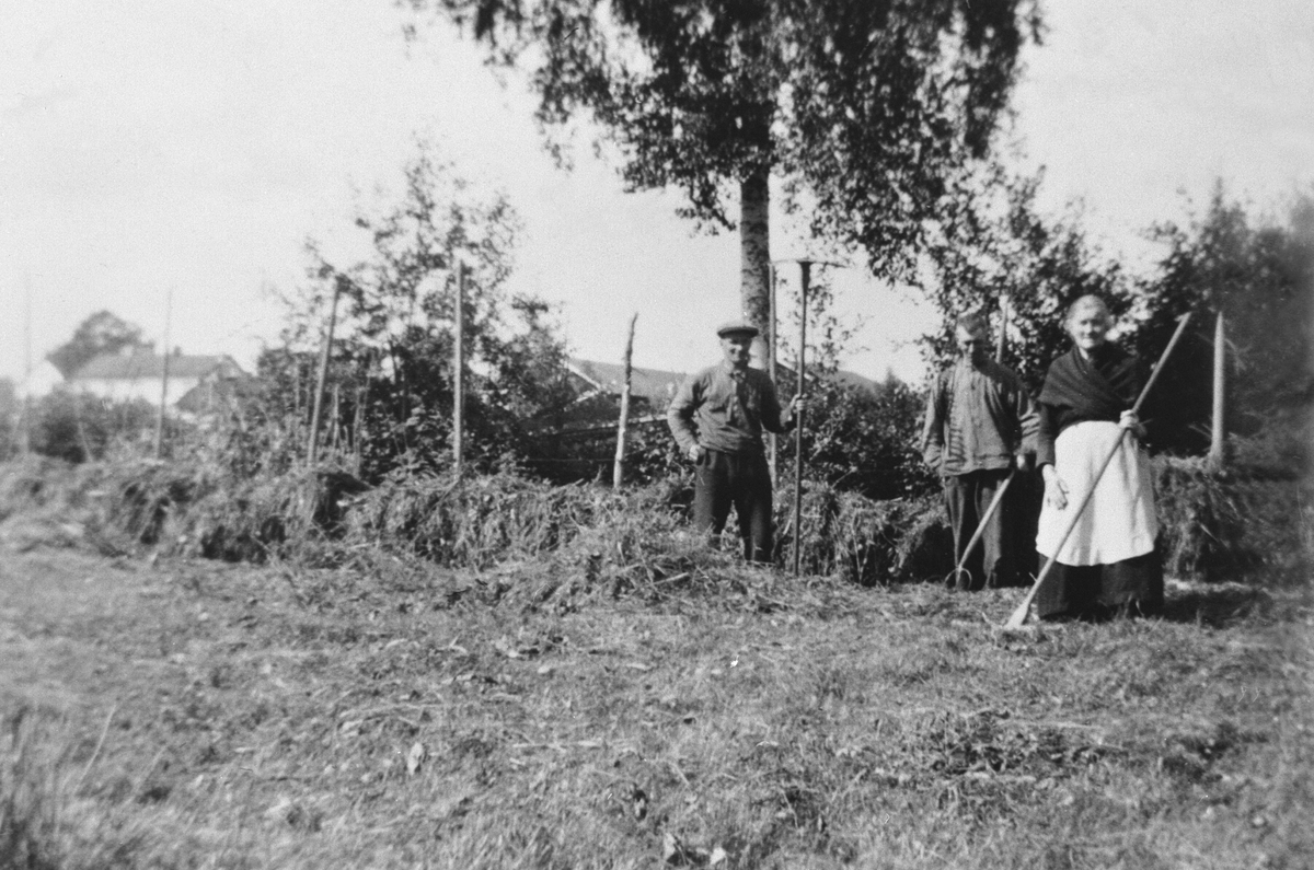 Anno Domkirkeodden, HØYONN, SLÅTTONN, HESJER HØY, MARTINE FRA ØYA FØDT: 09. 11. 1853, OSKAR BRODAL, KARSTEN BRODAL, OLSENG