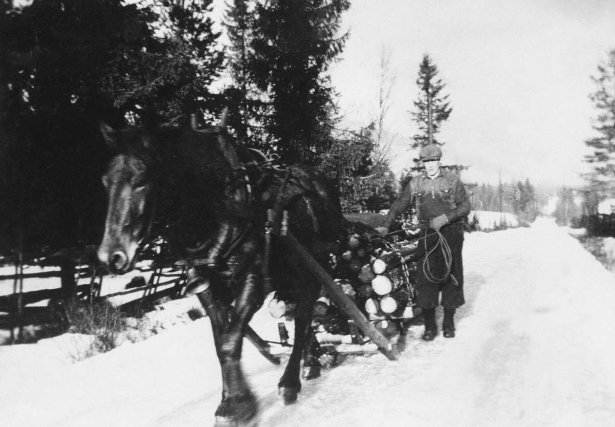 Anno Domkirkeodden, BJARNE LINDBY-AAS KJØRER FYRINGSVED PÅ SLEDE MED HESTEN ÅSE, VINTER, NORDBRYN UNDER BRENNA
