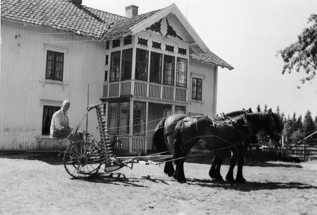 Anno Domkirkeodden, ÅLERUD. SLÅTTONN. SLÅMASKIN. "AKTIV" JENS DOBLOUG KJØRER. TO HESTER. HOVEDBYGNINGEN I ÅLERUD.