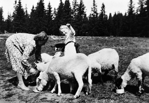 Anno Domkirkeodden, F.v. DagnyO. Wangen, Magnhild O.Wangen Sivertsen mater sau. MATING AV SAUER, T. V. UKJENT, MOR TIL MAGNHILD O. WANGEN SIVERTSEN, DYREHOLD.