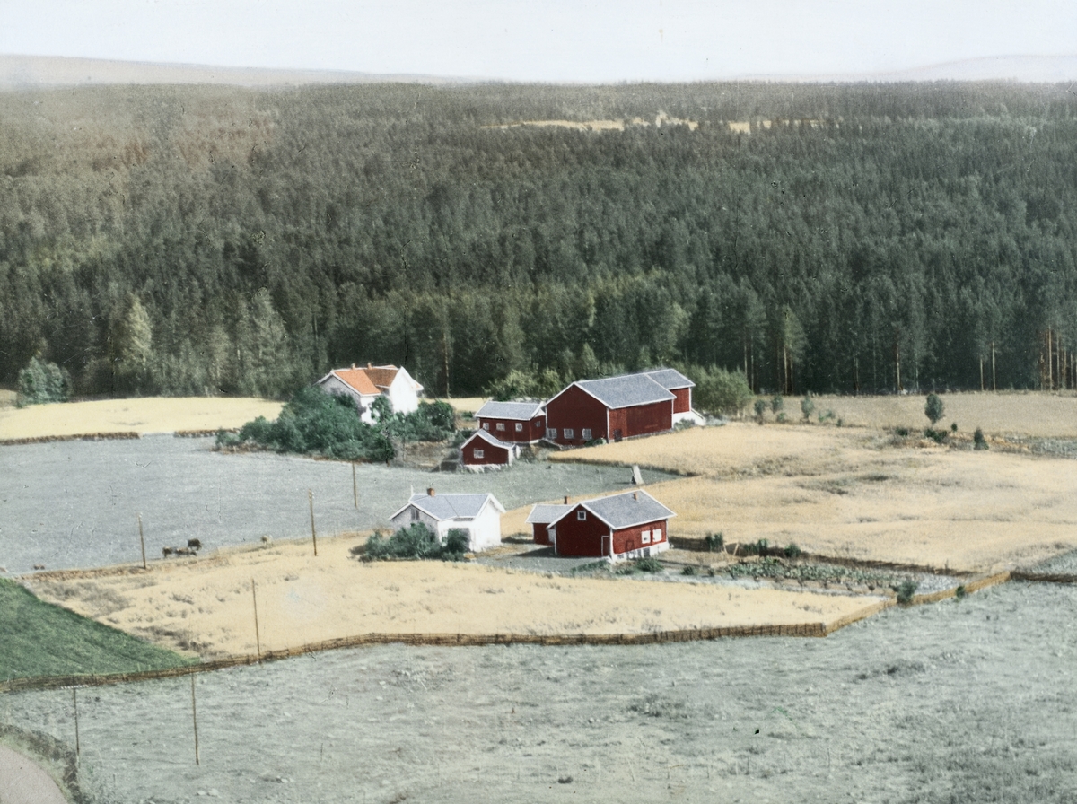Ukjent, Flyfoto Nyhagen 88/13. I bakgrunnen Nygard 114/7. Håndkolorert. 1950-årene.
