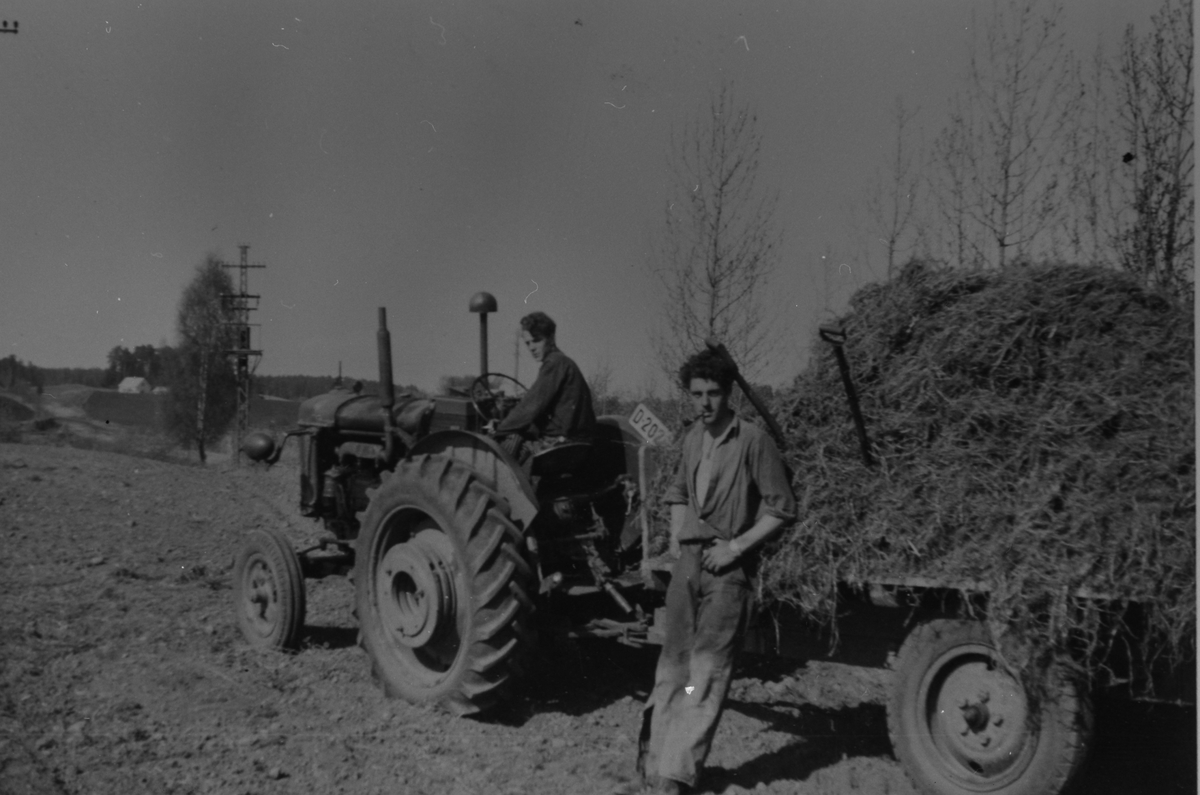 Anno Domkirkeodden, TRAKTOR M/HØYLASS, FRA V: TOR LANDHEIM, GUDMUND LANDHEIMSKRAMSTAD ØSTRE, LØTEN