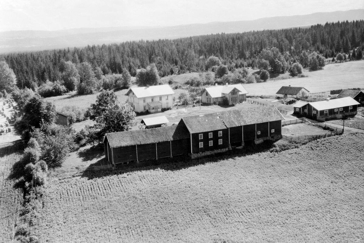 Widerøes Flyveselskap A/S, VAALE GÅRD, VÅLE, FLYFOTO, 1949. SE STANGE HISTORIELAGS ÅRBOK"GAMMALT FRA STANGE OG ROMEDAL 2009" S. 83.