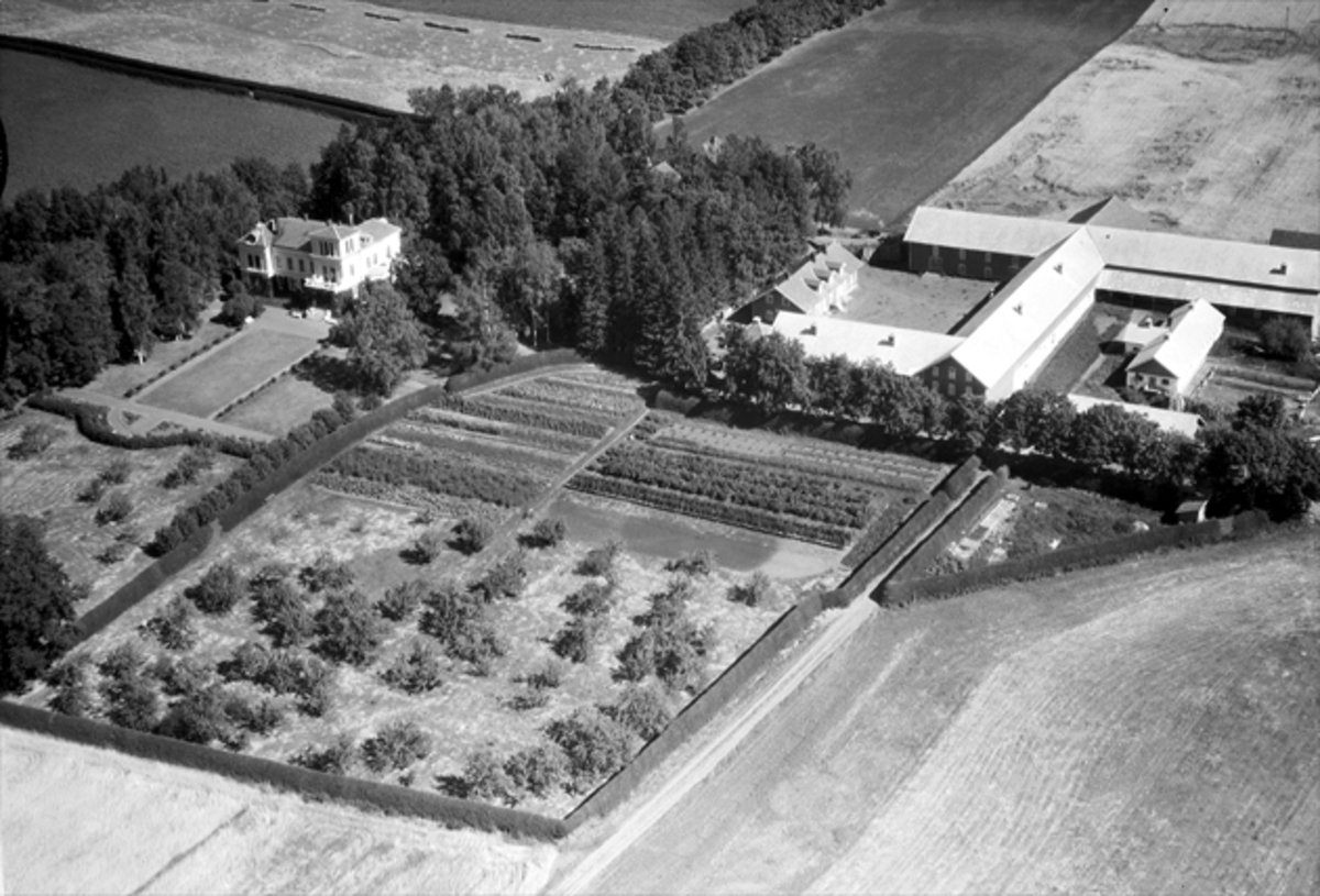 Widerøes Flyveselskap A/S, ATLUNGSTAD GÅRD, FLYFOTO