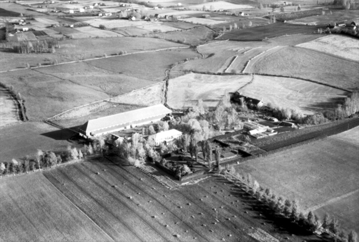 Widerøes Flyveselskap A/S, STAUR FORSØKSGÅRD, FLYFOTO