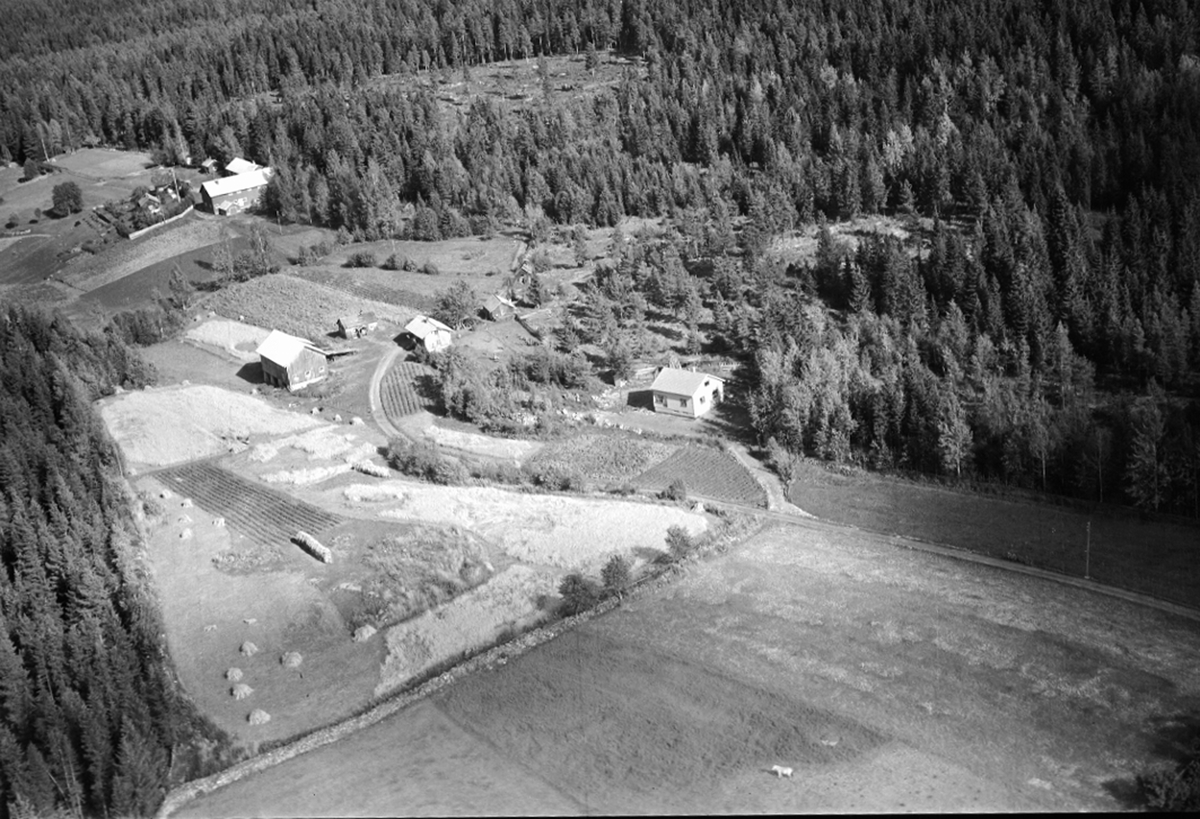Widerøes Flyveselskap A/S, FLYFOTO LINDÅS 262-18, TINGSTADRØNNINGEN (HUSESTURYDNINGEN) 262-2, ÅSVANG