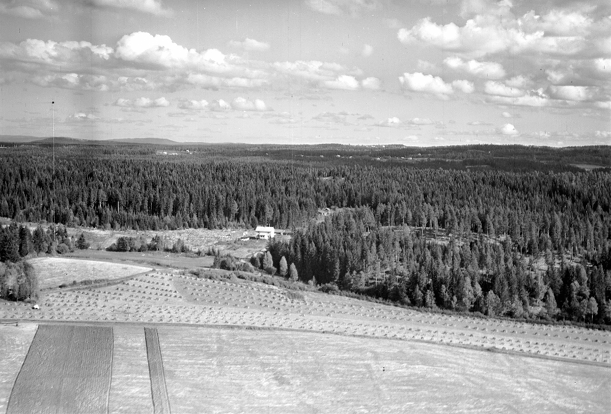 Widerøes Flyveselskap A/S, FLYFOTO BRATBERG 318-24, ÅSBYGDA, BRATTVOLDJORDET I FORGRUNN