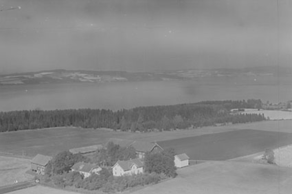 Widerøes Flyveselskap A/S, FLYFOTO VEN, VEEN, STANGE