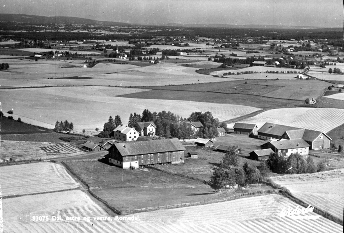 Widerøes Flyveselskap A/S, FLYFOTO DAL ØSTRE, VESTRE, POSTKORTNEGATIV