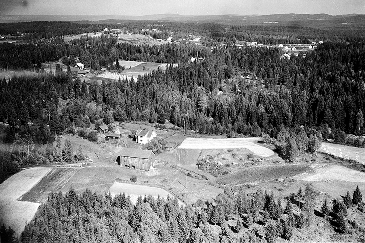 Widerøes Flyveselskap A/S, FLYFOTO, ØSTERHAGEN (SKJELSETHAGEN) 368-3, ÅSBYGDA