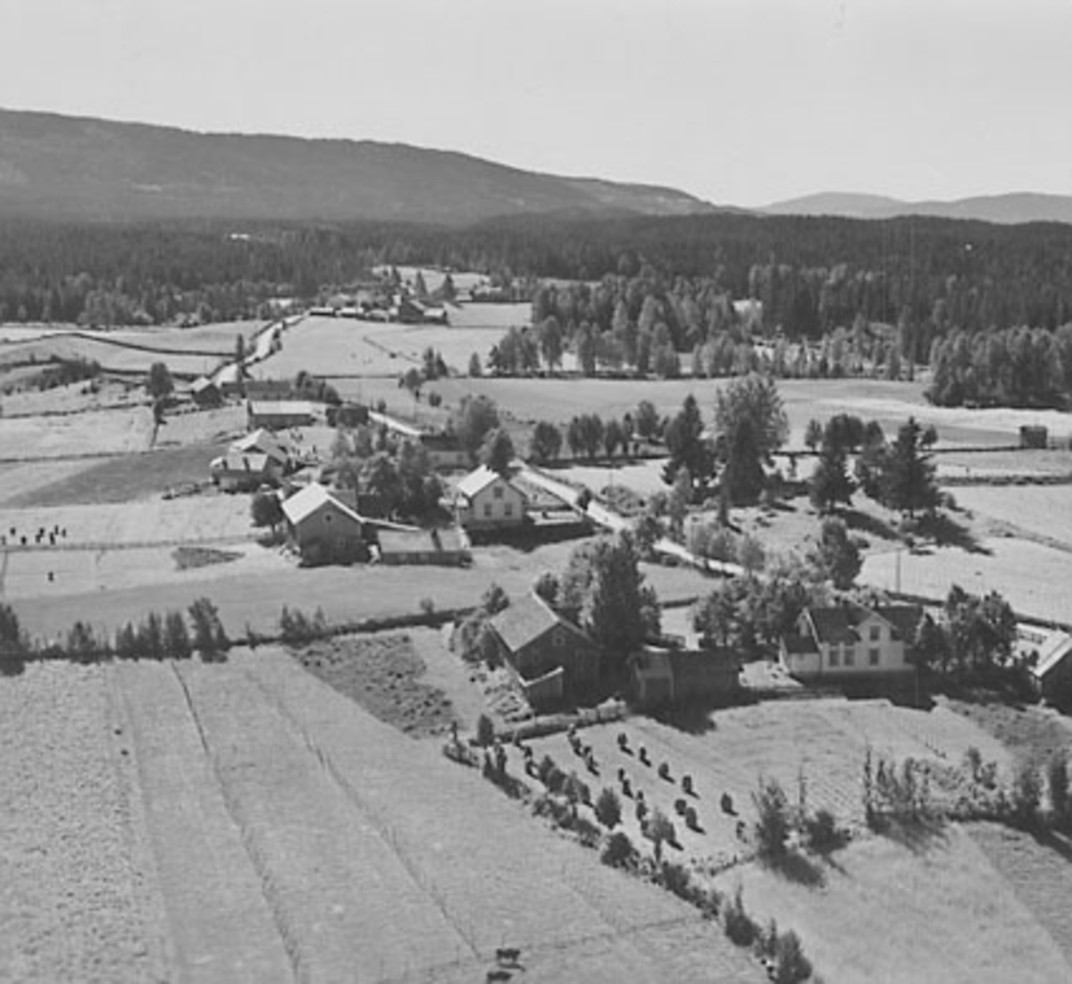Widerøes Flyveselskap A/S, FLYFOTO EVENRUD NORDRE OG EVENRUDBAKKEN, VALLSET