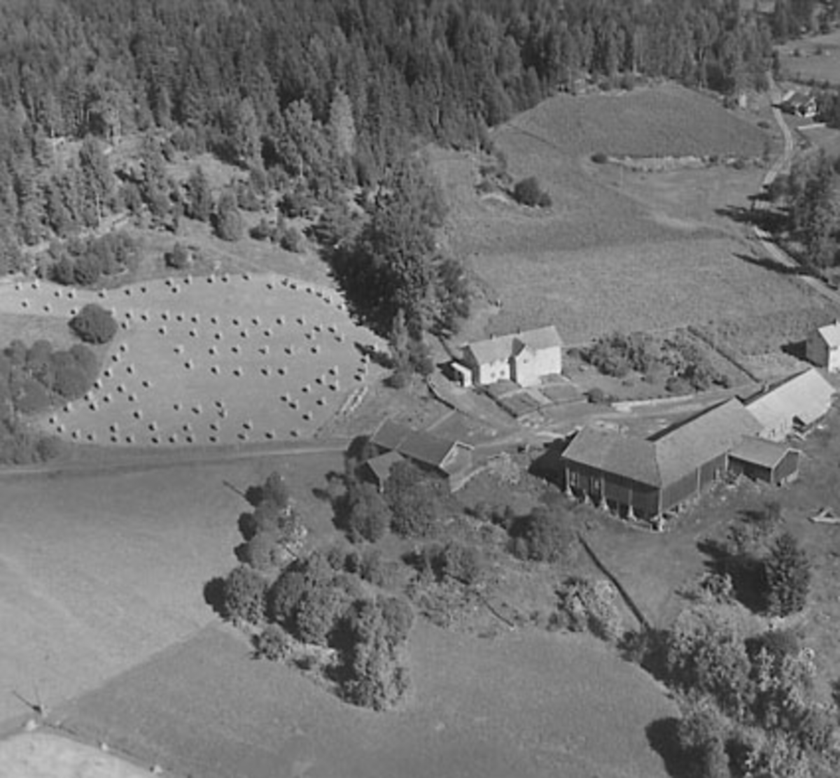 Widerøes Flyveselskap A/S, FLYFOTO DILLERUD, TANGEN