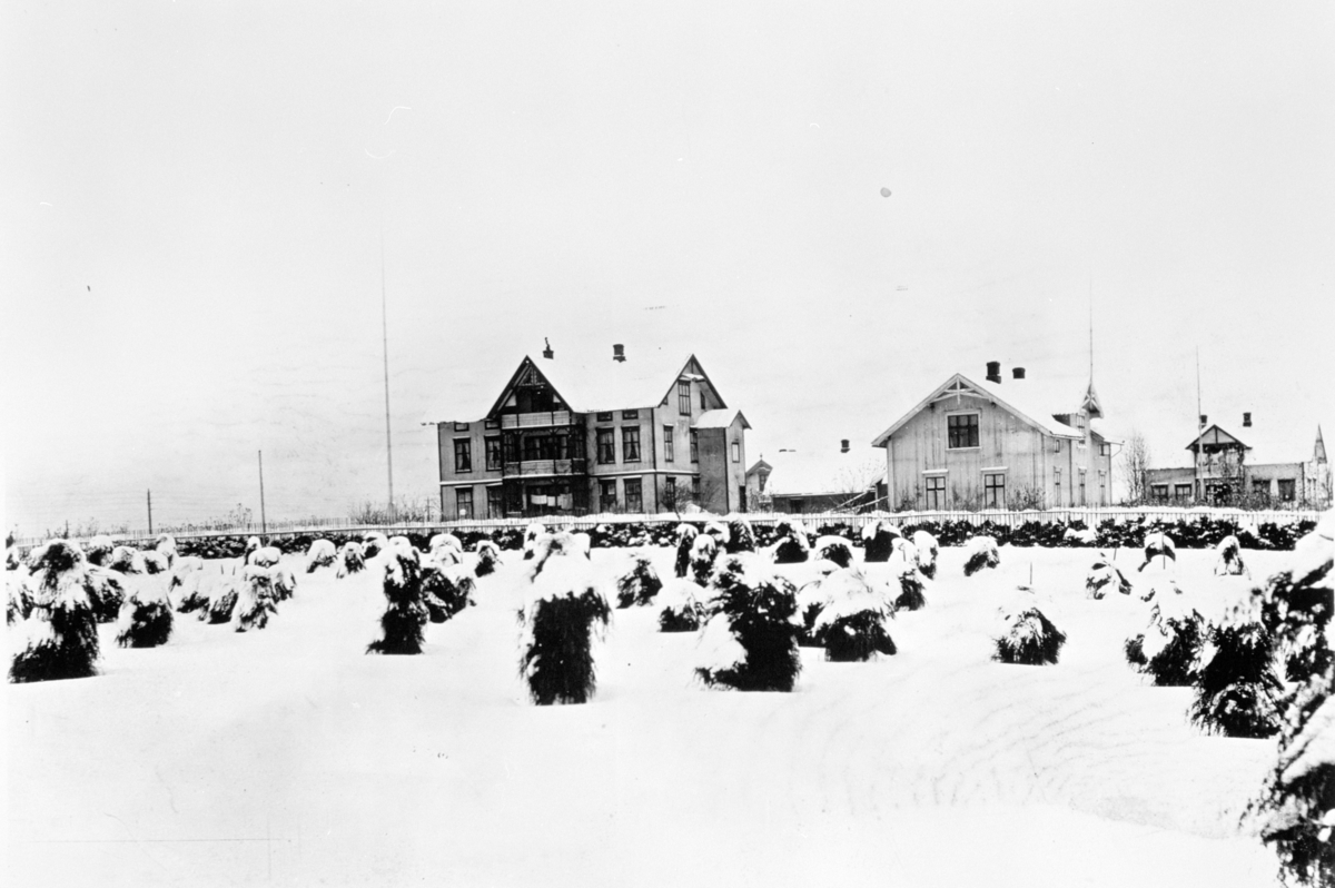 Anno Domkirkeodden, SNØKLEDD LANDSKAP, FRA UÅRET 1907, EKSTERIØR FRANGSGÅRDEN, TIL HØYRE HUSET TIL: ARNE ØVERGÅRD, BAK HUSET TIL SIMEN NYGÅRD, KORNAVLINGEN ØDELAGT