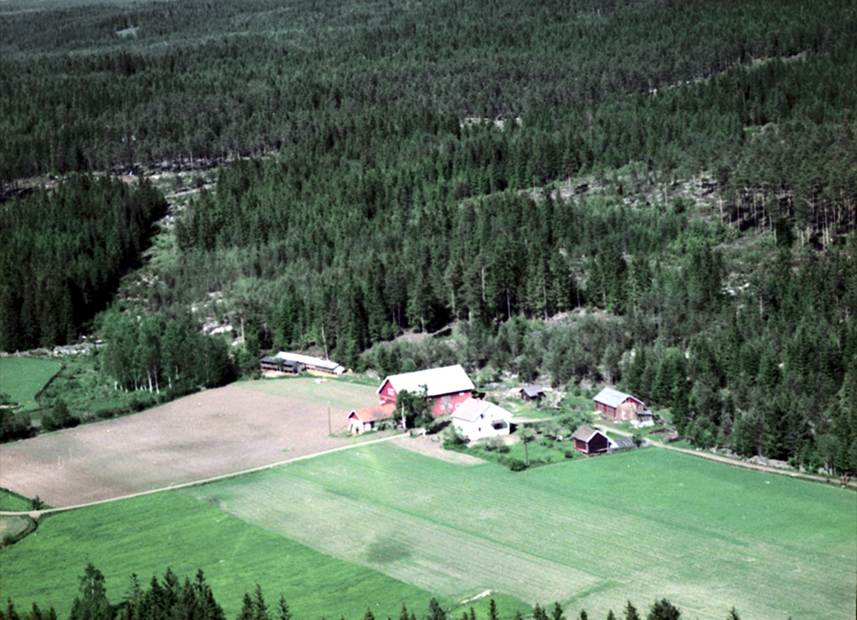Widerøes Flyveselskap A/S, FLYFOTO LØVLIEN, ILSENG