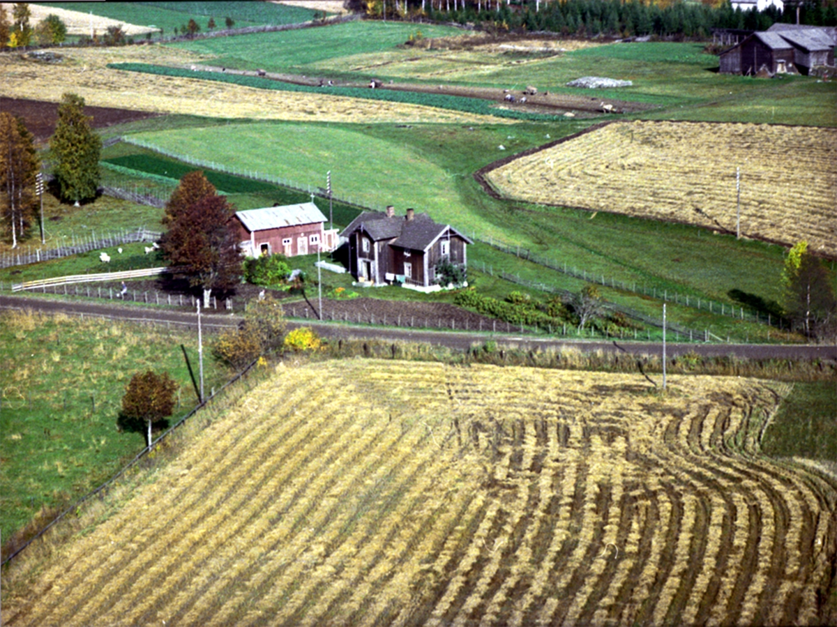 Widerøes Flyveselskap A/S, FLYFOTO NYHUS, VALLSET