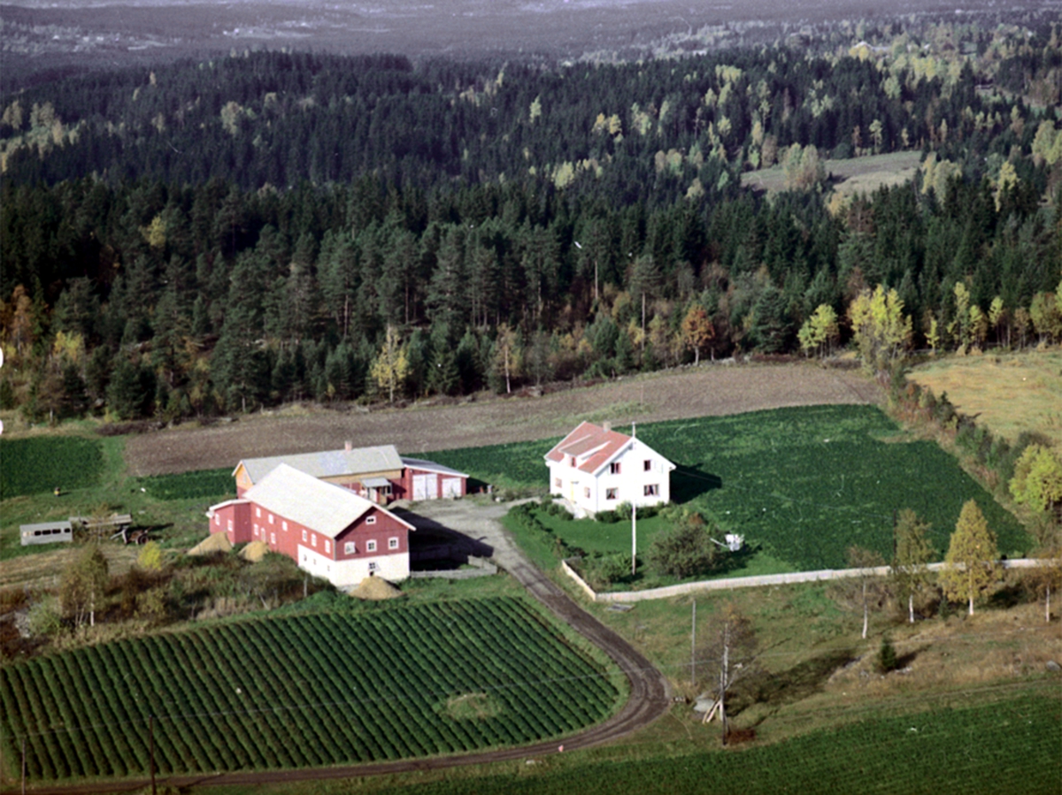 Widerøes Flyveselskap A/S, FLYFOTO ÅSHAGEN, VALLSET