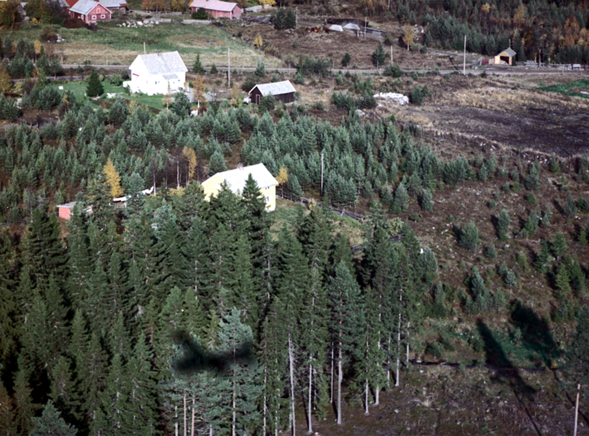 Widerøes Flyveselskap A/S, FLYFOTO SKOGTUN 404-155, BAK HAUÅSBAKKEN 362-10, FORAN HØGÅSFELTET IX 404-144, VIBO, SKOGTUN, ÅSVANG